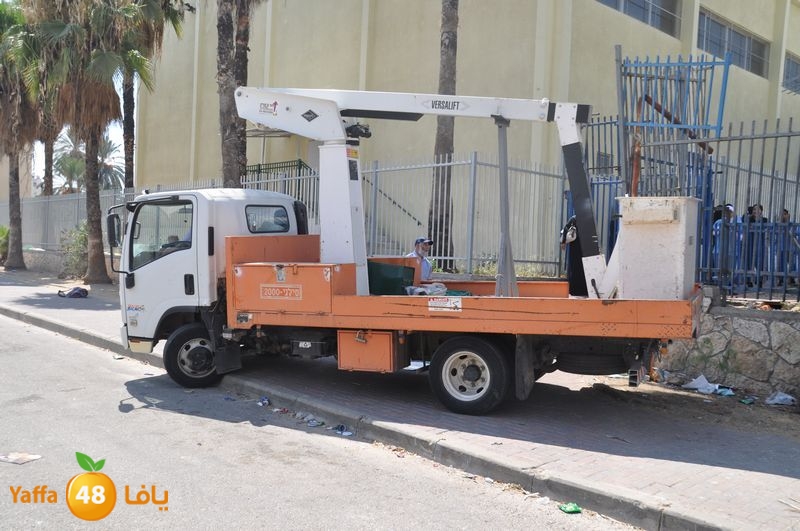 cat lud 910 (41).JPG